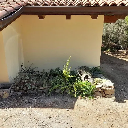 Vakantiehuis Oasi Casa Atzeni *