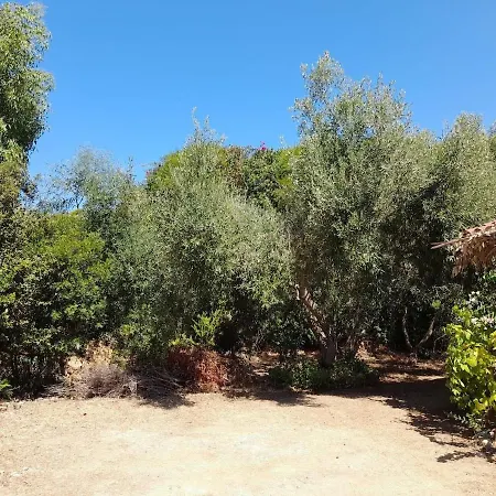 Oasi Casa Atzeni